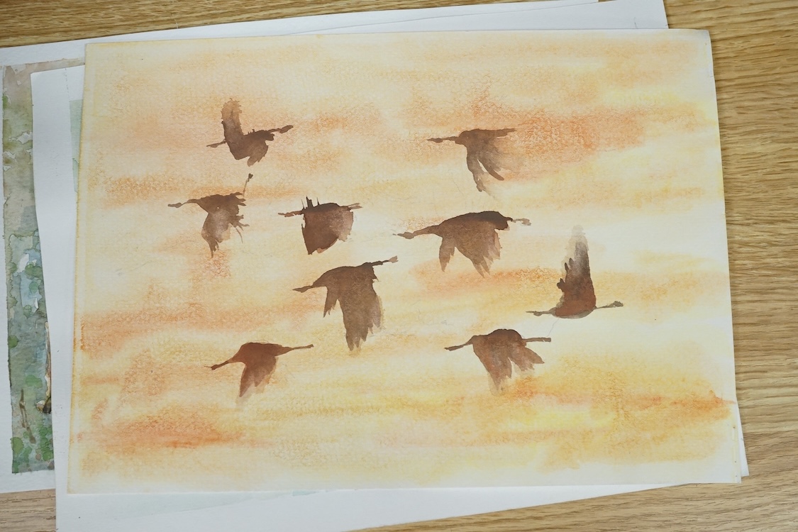 Baris Ali Kibar (Contemporary), ten watercolours on card, Wildlife to include ducks, horses, kingfisher and African wildlife, some signed, unframed, 21 x 29cm. Condition - fair
